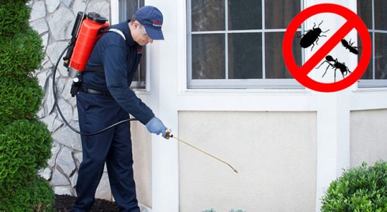 İkizce Hamam Böceği İlaçlama böcek ilaçlama ve haşere kontrolü — ilaclama-tr.com
